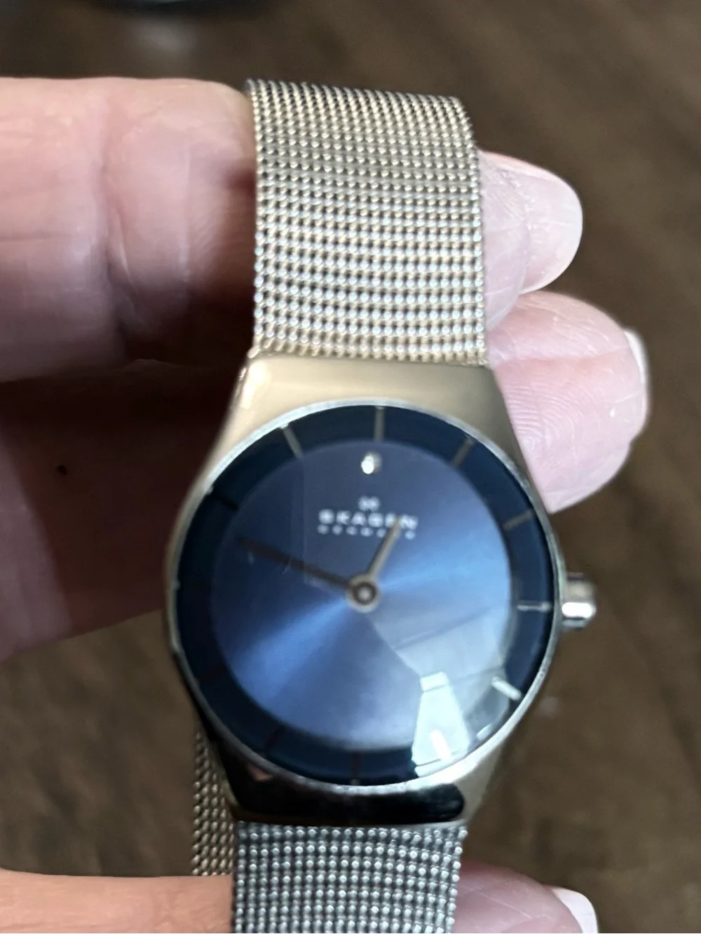 Skagen Women's Silver Mesh Blue Dial Minimalist Watch. Needs battery